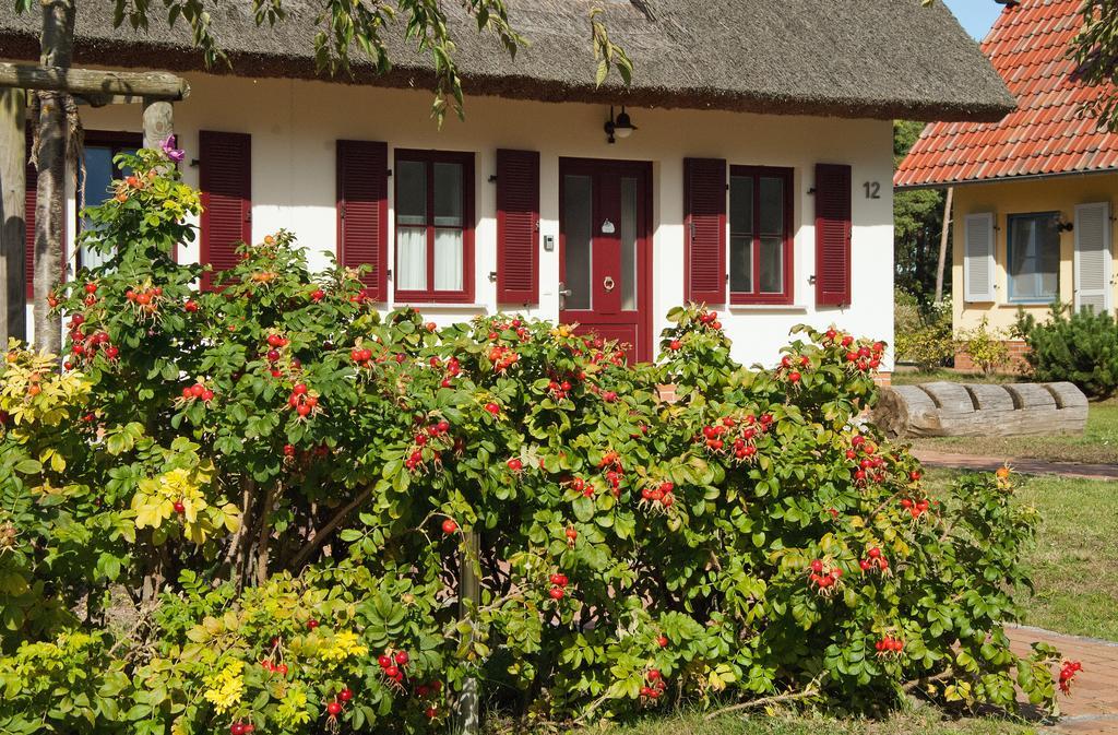 Duenenresidenz Glowe - Haus Luisa المظهر الخارجي الصورة